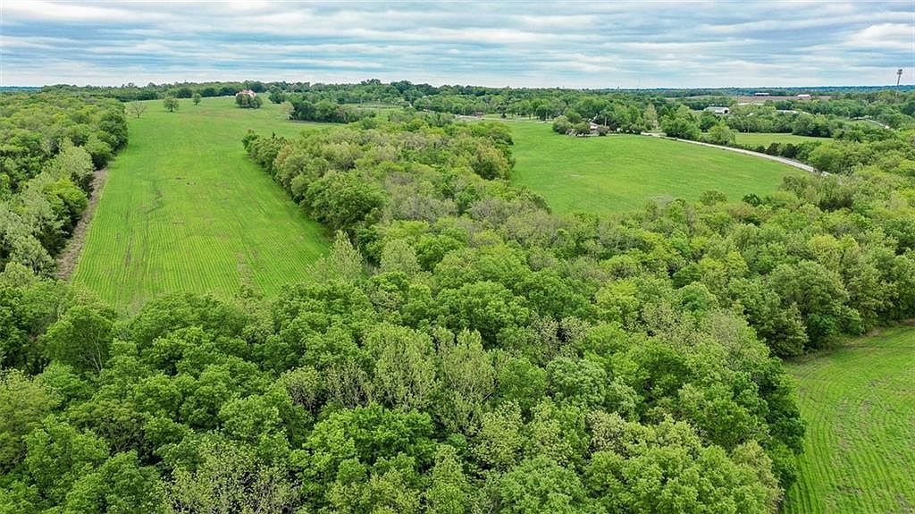 Aerial along the western timber line where the parcel meets federal Longview Lake land